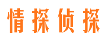 云梦市侦探调查公司